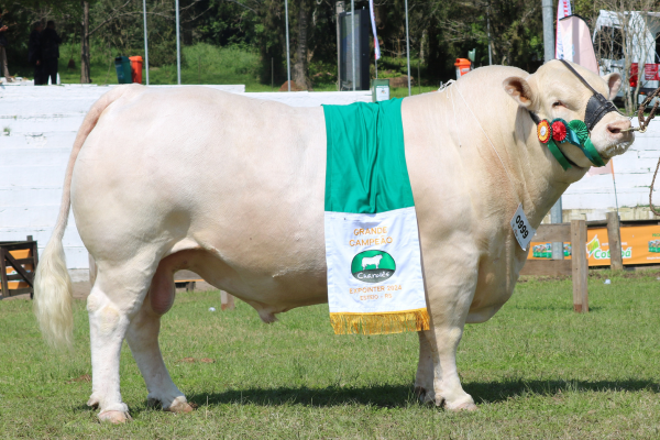 GENEX QUASAR - FOTO 3.png