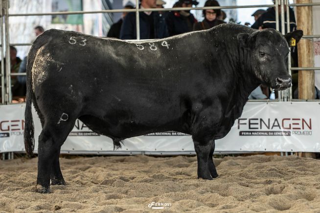 Recalada 584 Bolsonaro 278_GC FENAGEN 2025.jpg