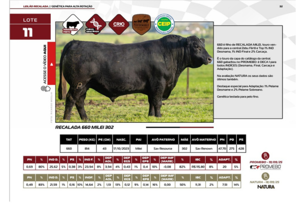 Lote 11 RECALADA 660_Out 25.png