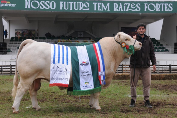 DOCTOR TE 03 - FOTO 2.png