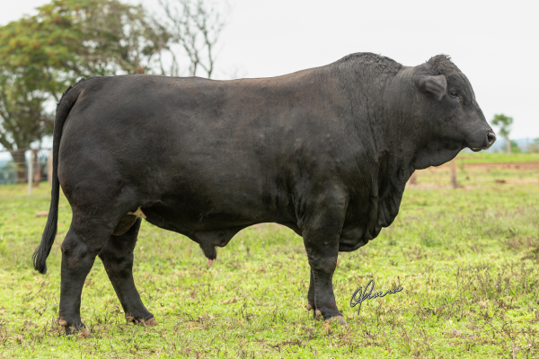 ABS ATLANTA - FOTO 4.png