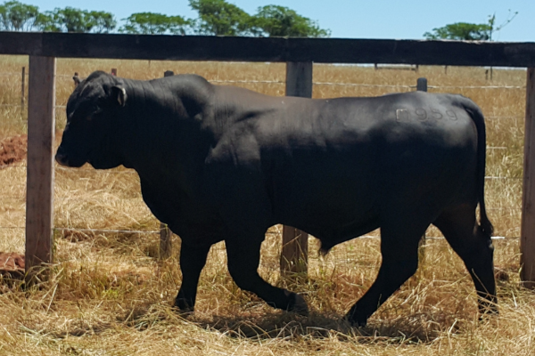 GENEX SAN MARTIM - FOTO 3.png