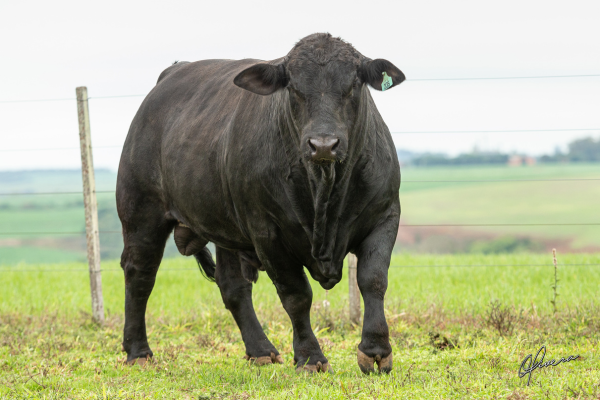 ABS ATLANTA - FOTO 1.png