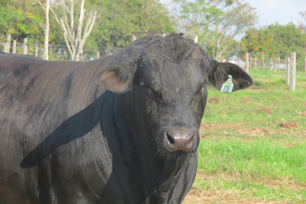 ABS ATLANTA - FOTO 3.png