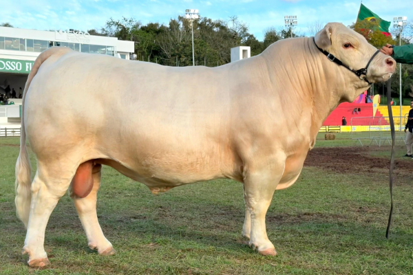 DOCTOR TE 03 - FOTO 1.png