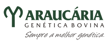 ARAUCÁRIA GENÉTICA BOVINA