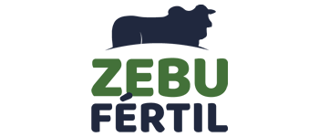 ZEBU FÉRTIL
