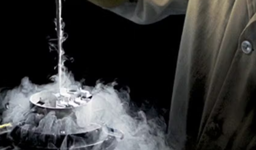 Após período de retração, mercado de genética bovina vive momento de retomada no país